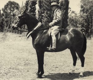 Haydon Snip 1938 ridden by HB Haydon