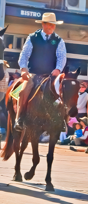 Peter Haydon Upper Hunter Horse Festival VIP riding Haydon Celestial in the parade