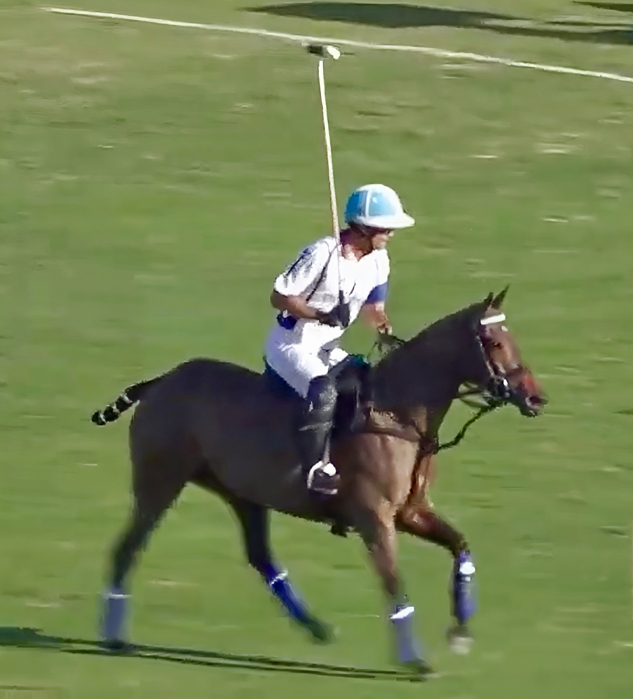 Dolfina Misky played by Adolfo Cambiaso 2024 US Triple Crown