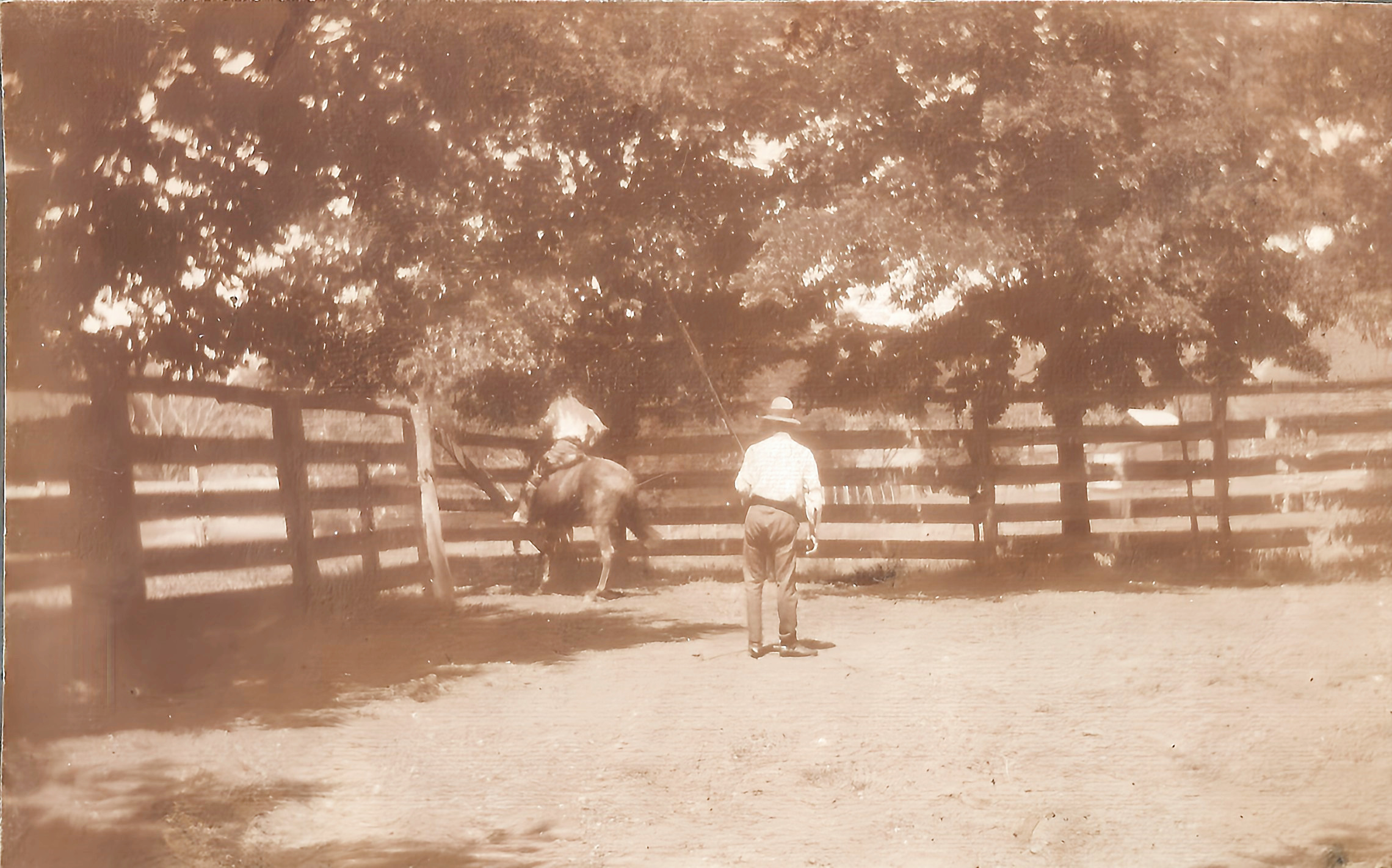 F B Haydon snr at Bloomfield yards watching a young one ridden by FB Haydon jnr