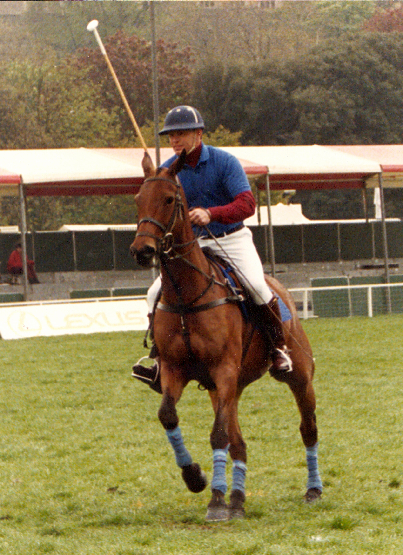 Peter Haydon riding Serene to Champion at Royal Windsor Horse Show 1991