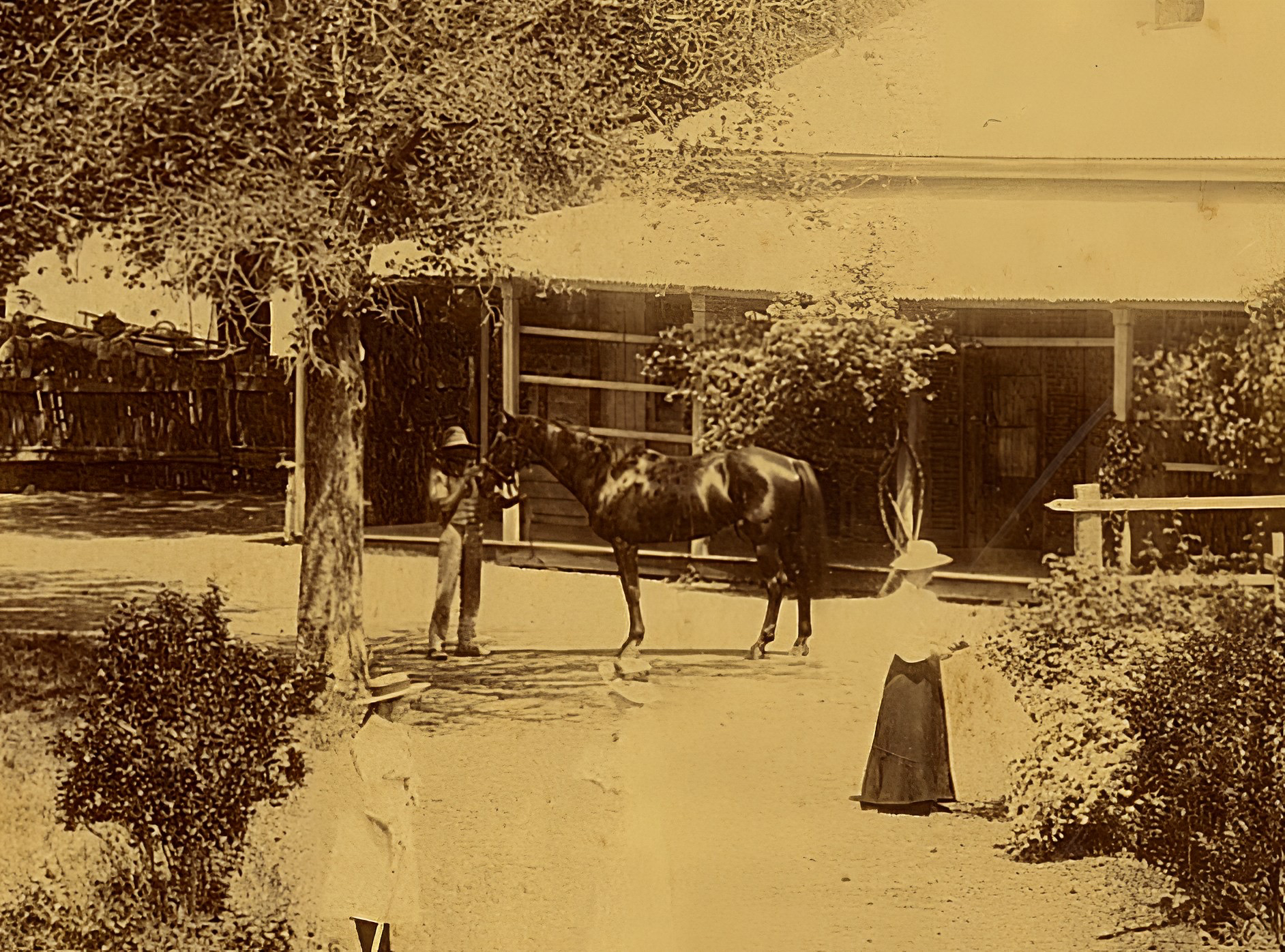 Haydon Tester in front Bloomfield Homestead 1890s